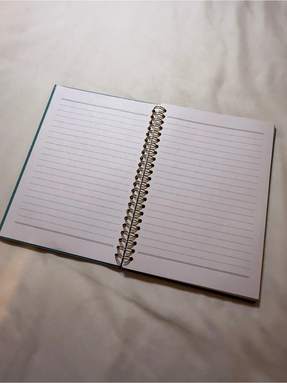 Notebook - 'Things My Students Said' Teal Spiral Journal